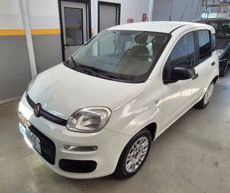 Fiat Panda 1.2 Easy 2019 Unico Proprietario