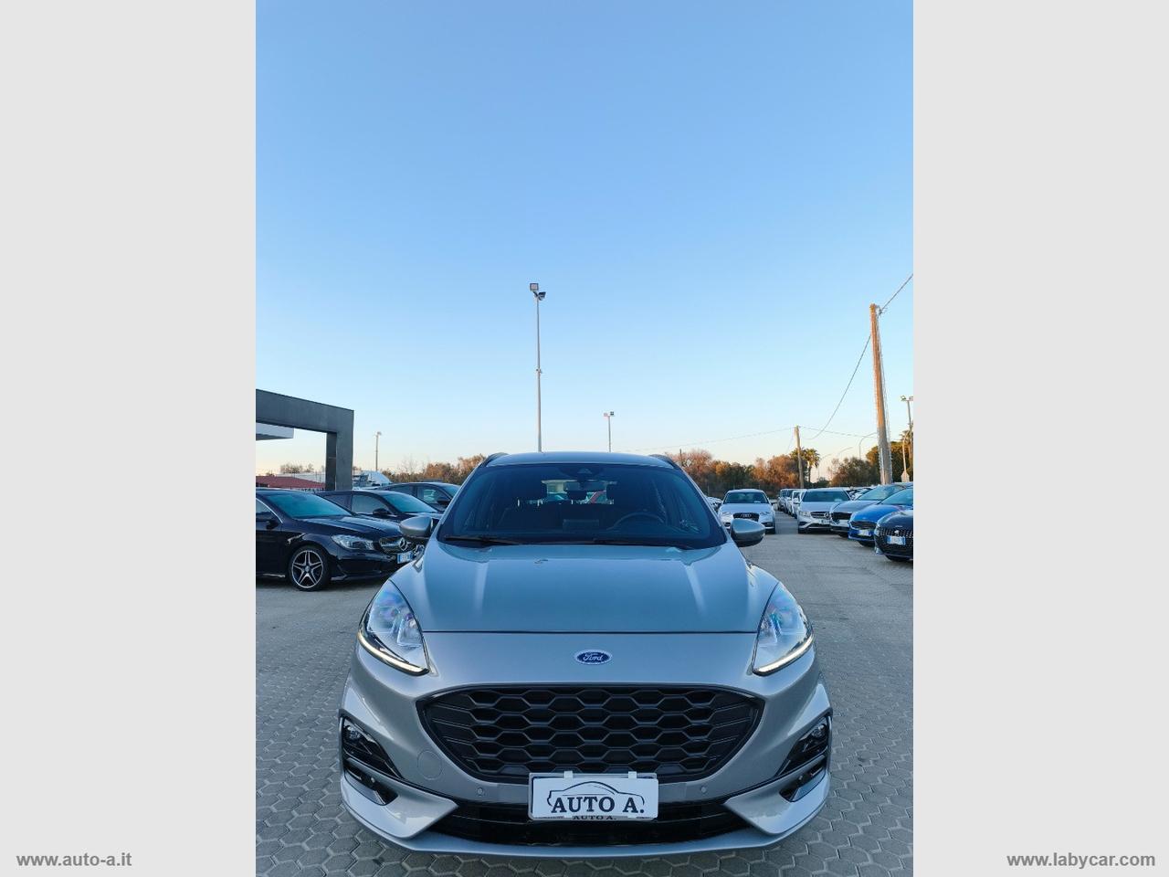 FORD Kuga 1.5 EcoBlue 120 CV aut. 2WD ST-Line