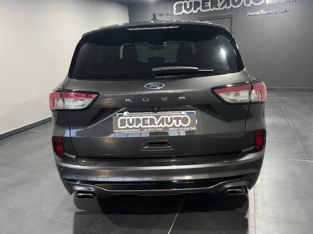 FORD Kuga 1.5 EcoBlue 120 CV aut. 2WD ST-Line
