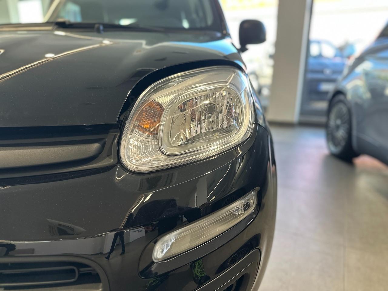 FIAT Pandina III 2024 - Pandina 1.0 firefly hybrid Pop s&s 70cv