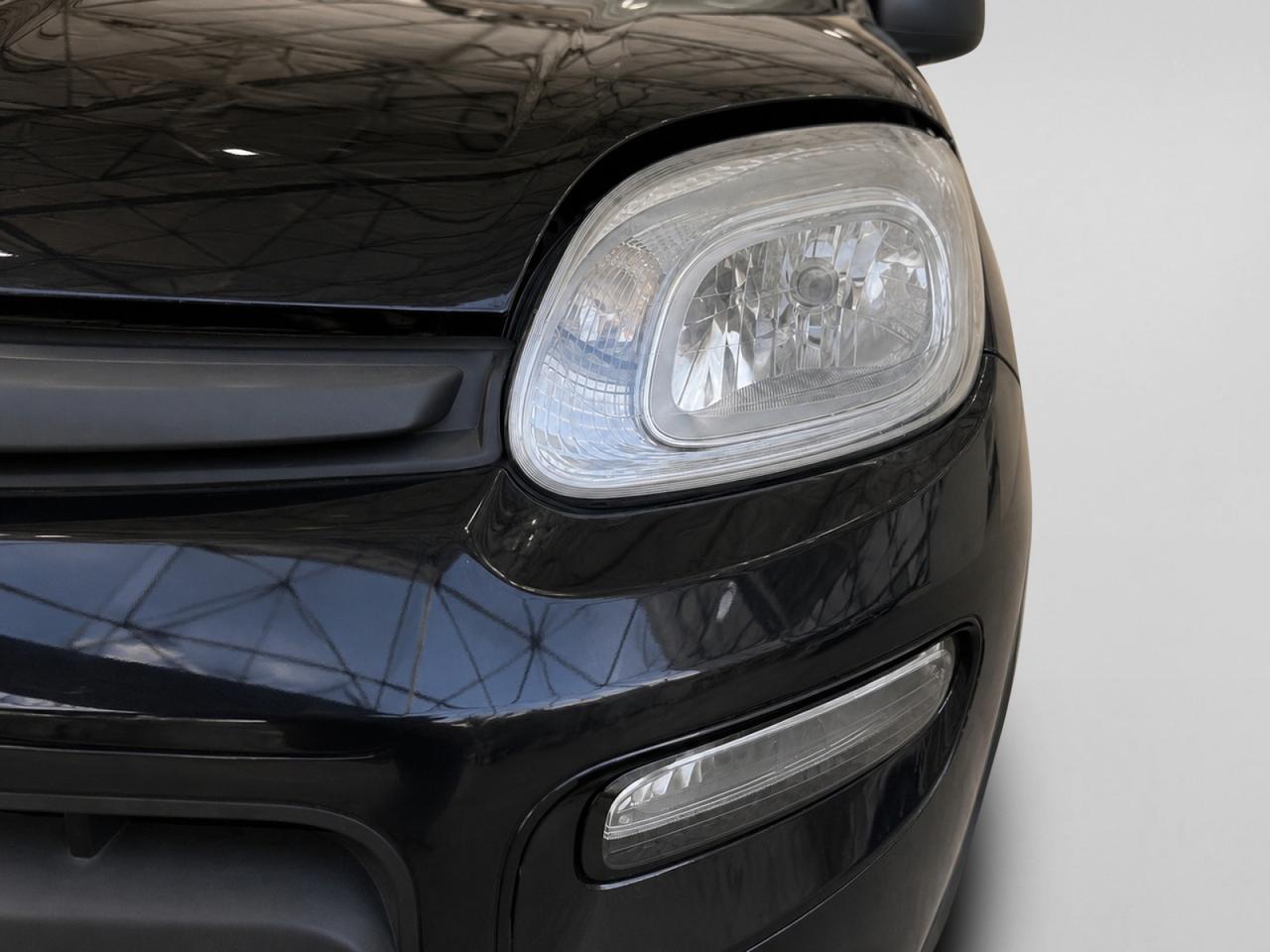FIAT Panda III 2021 - Panda 1.0 firefly hybrid s&s 70cv