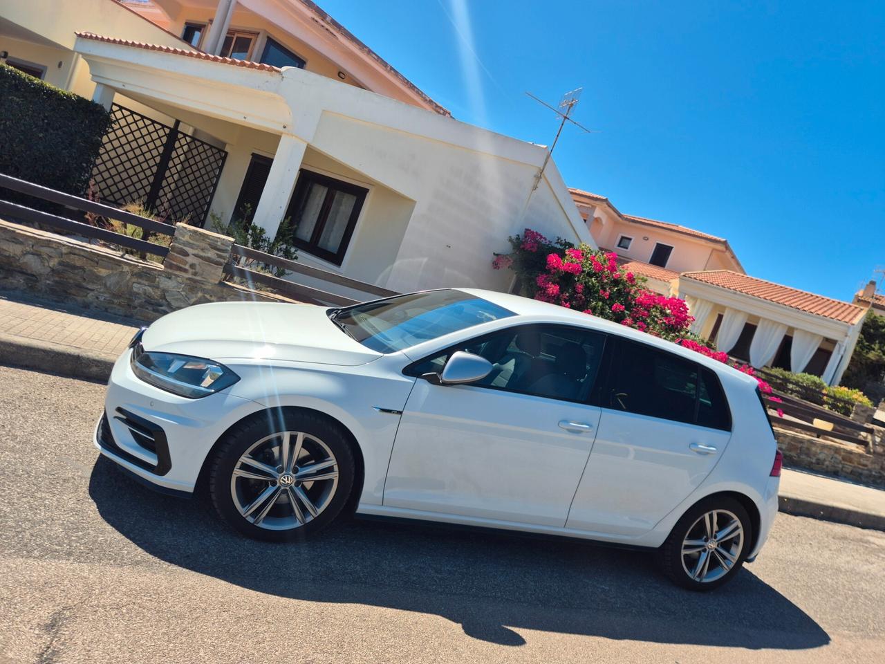 Volkswagen Golf 1.6 TDI 115 CV 5p. Sport BlueMotion Technology