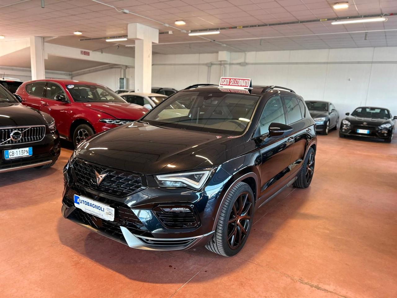 Cupra Ateca 2.0 TSI 300 cv DSG 4Drive TETTO