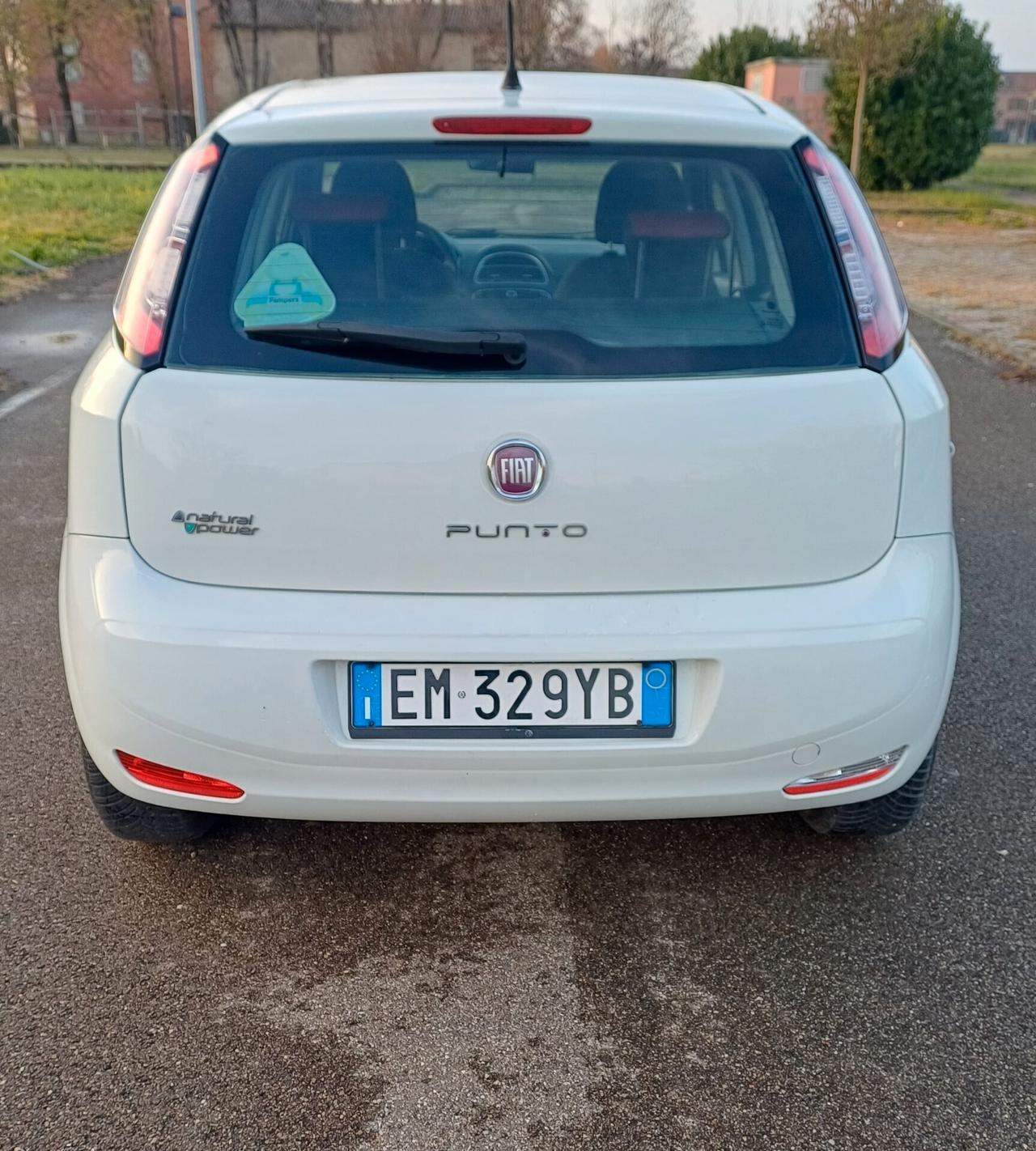 Fiat Punto 1.4 8V 5 porte Easypower Easy