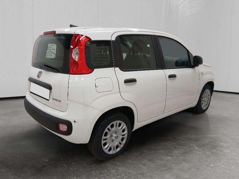 FIAT Pandina 1.0 firefly hybrid Icon s&s 70cv 5p.ti