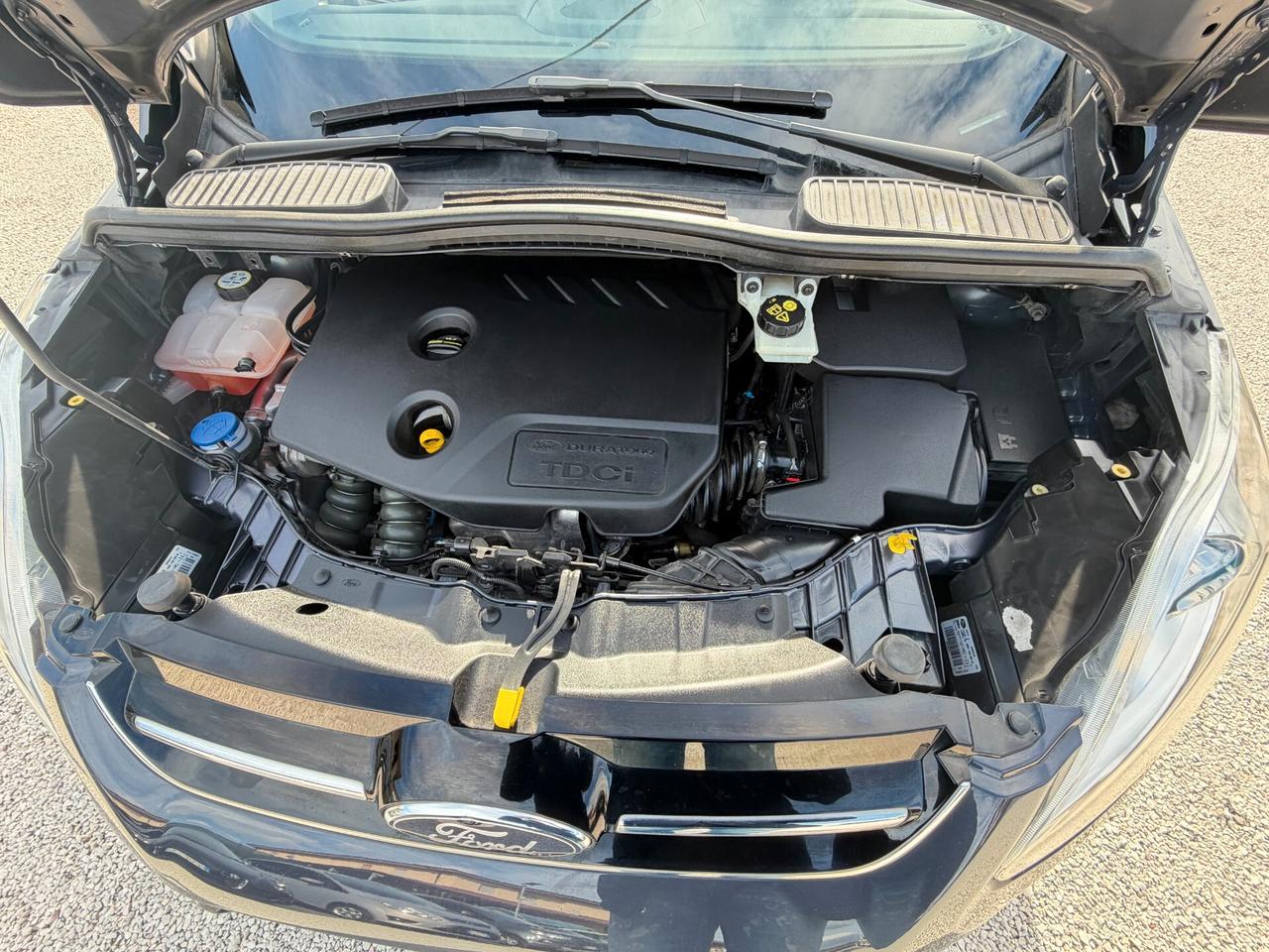 Ford C-Max 1.6 TDCi 115CV Titanium 79.975 km unico proprietario