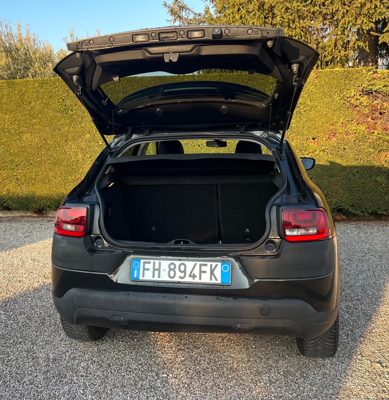 Citroen C4 Cactus BlueHDi 100 S&S ETG6 Shine