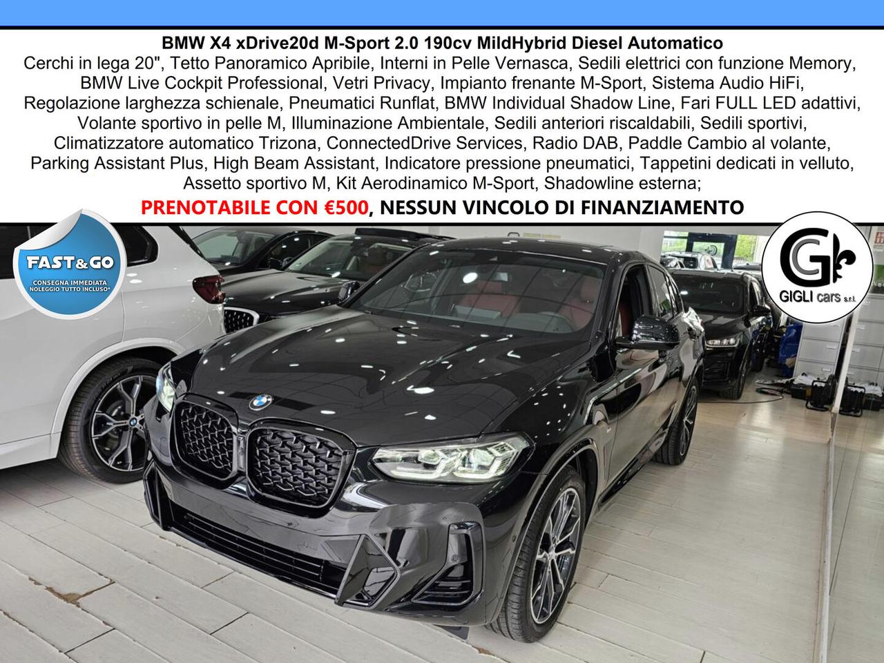 BMW X4 XDrive20d M-Sport C20" TETTO Navi CAM LED Clima3Z