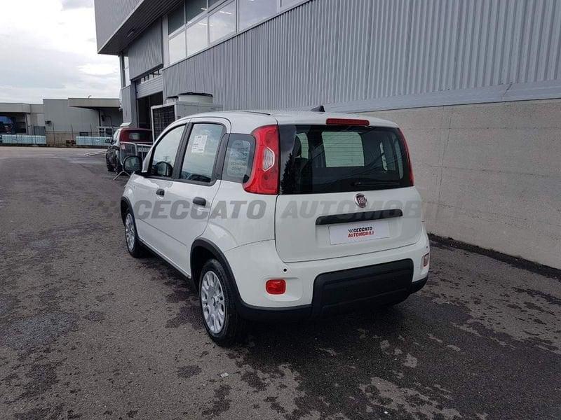 FIAT Panda Panda 1.0 70cv Hybrid Panda