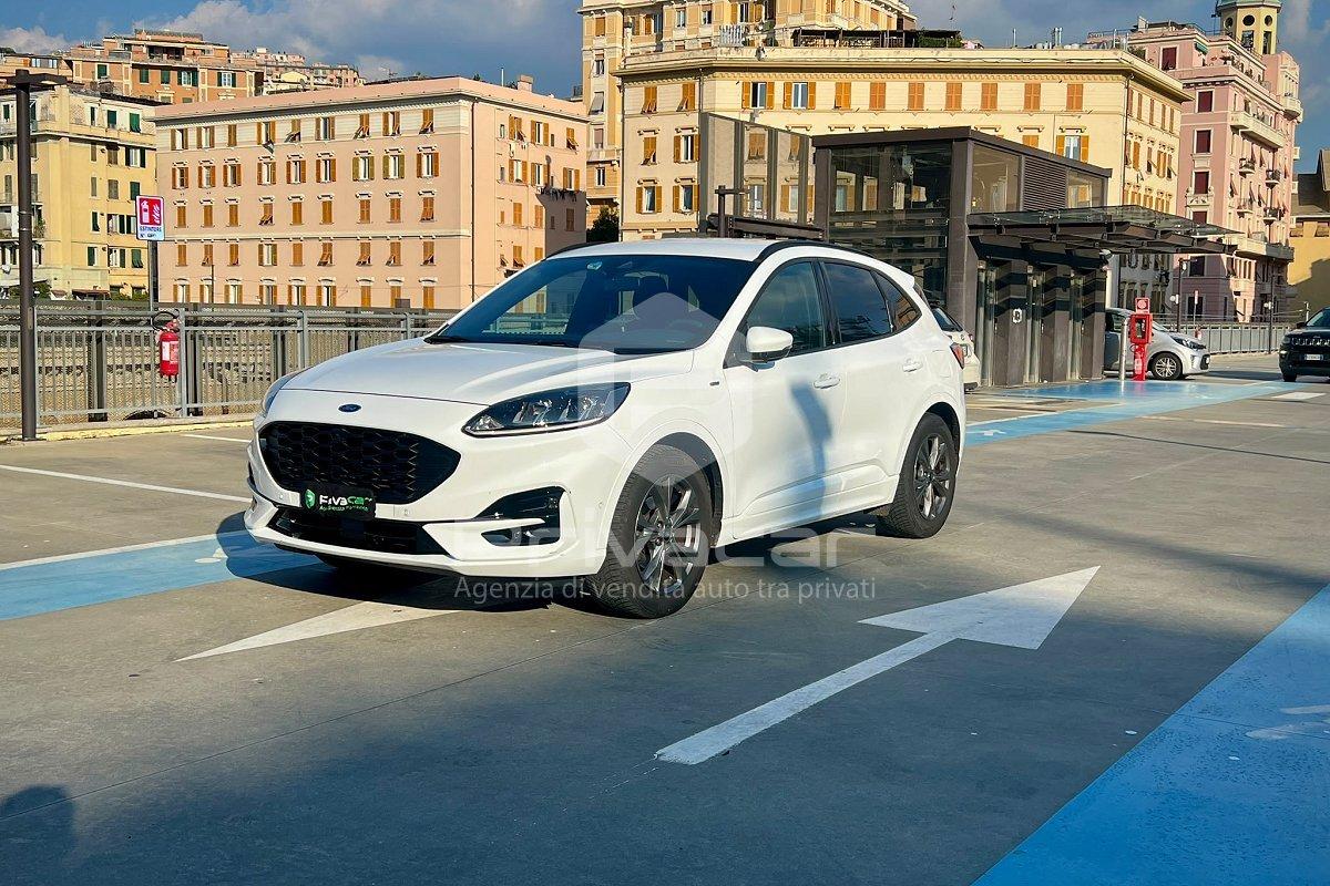 FORD Kuga 1.5 EcoBlue 120 CV aut. 2WD ST-Line