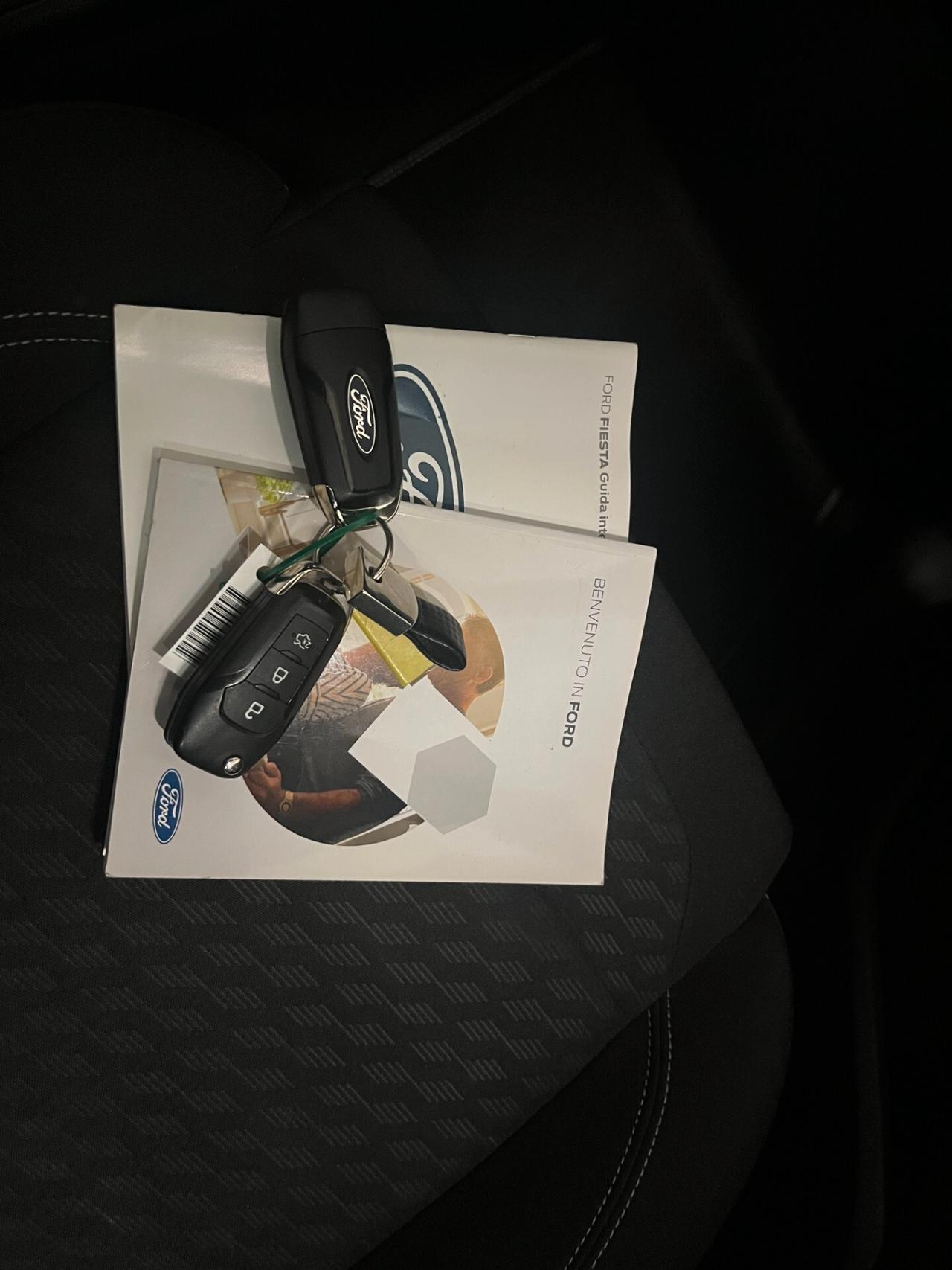 Ford Fiesta 1.0 Ecoboost Hybrid 125 CV 5 porte Titanium