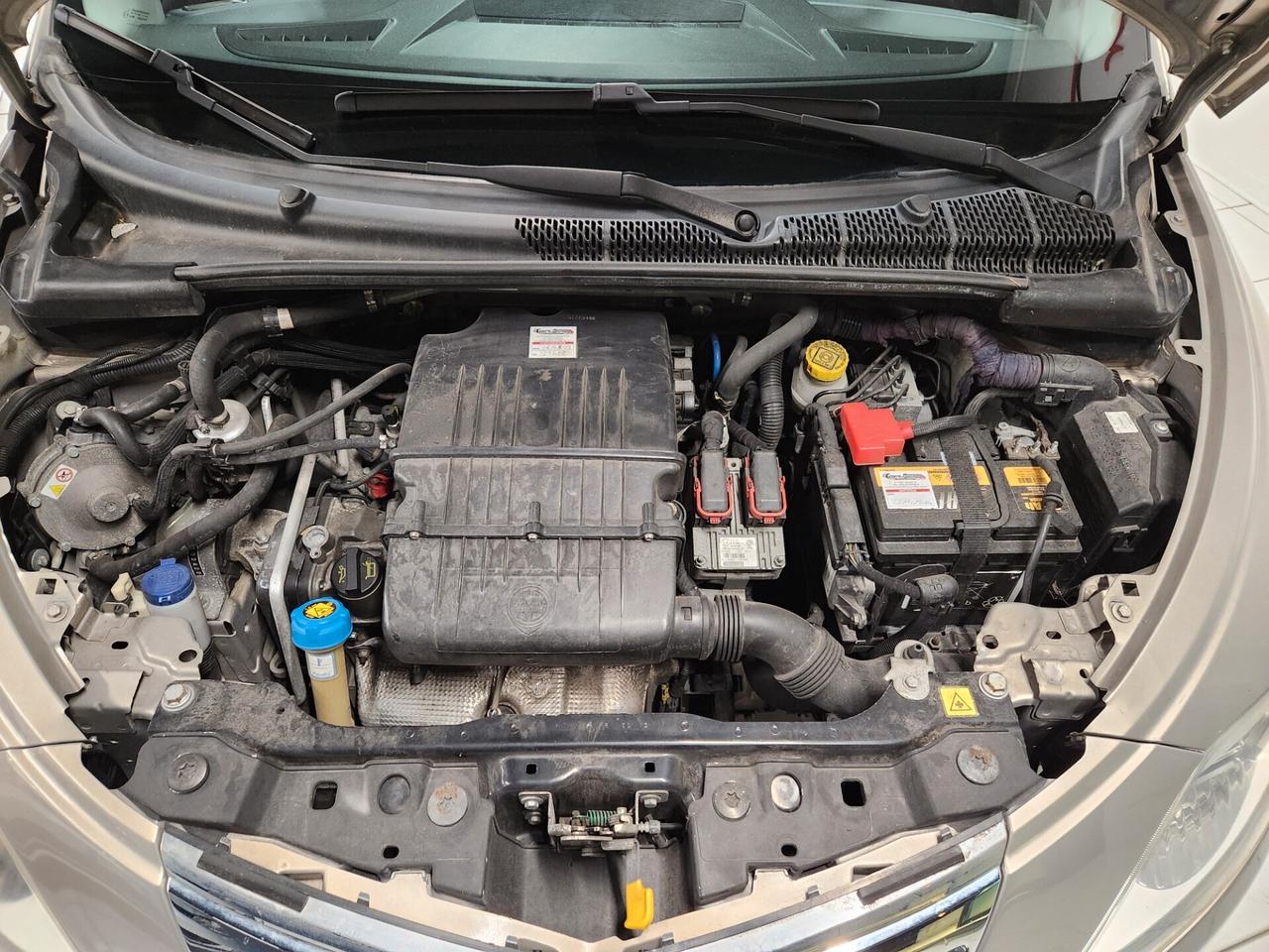 Lancia Ypsilon 1.2 69 CV 5 porte GPL Ecochic Gold Unicoproprietario