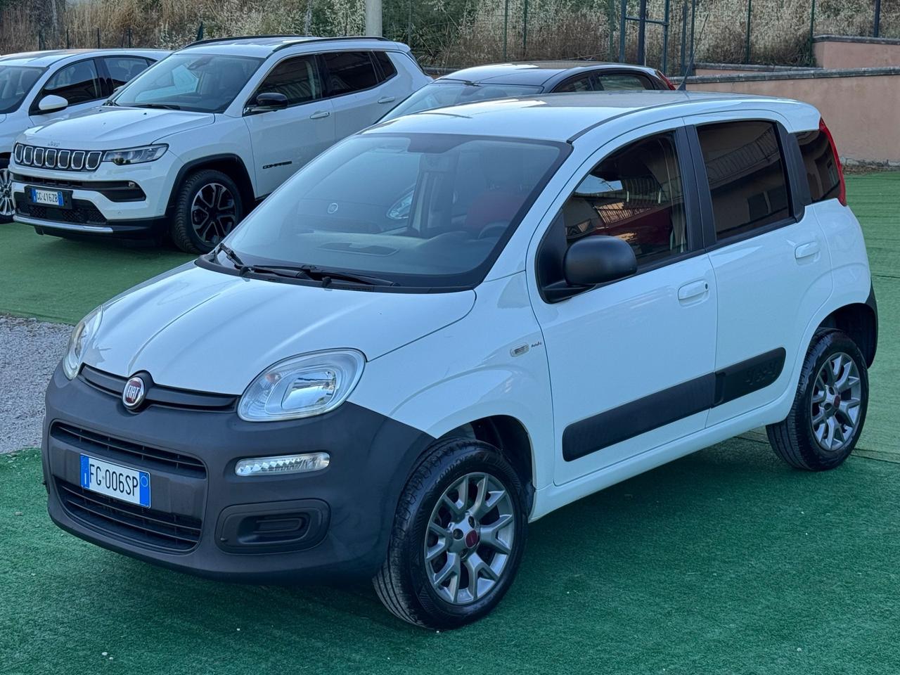 Fiat Panda 1.3 MJT 4x4 Van 2 posti