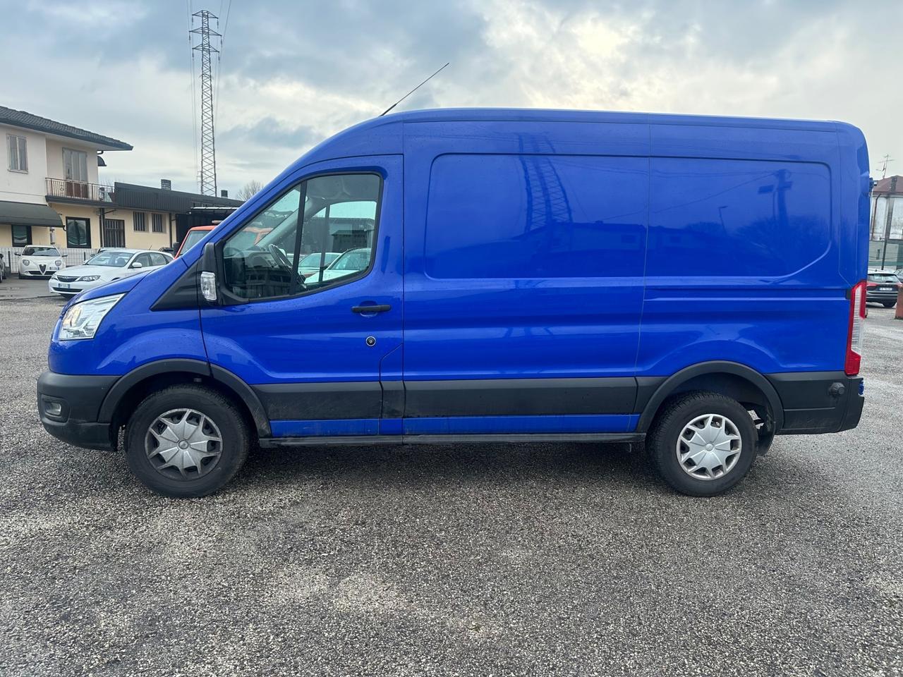 Ford Transit 290 2.0TDCi EcoBlue PM-TM Furgone Trend