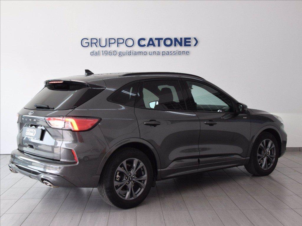 FORD Kuga 1.5 ecoblue ST-Line 2wd 120cv auto del 2023