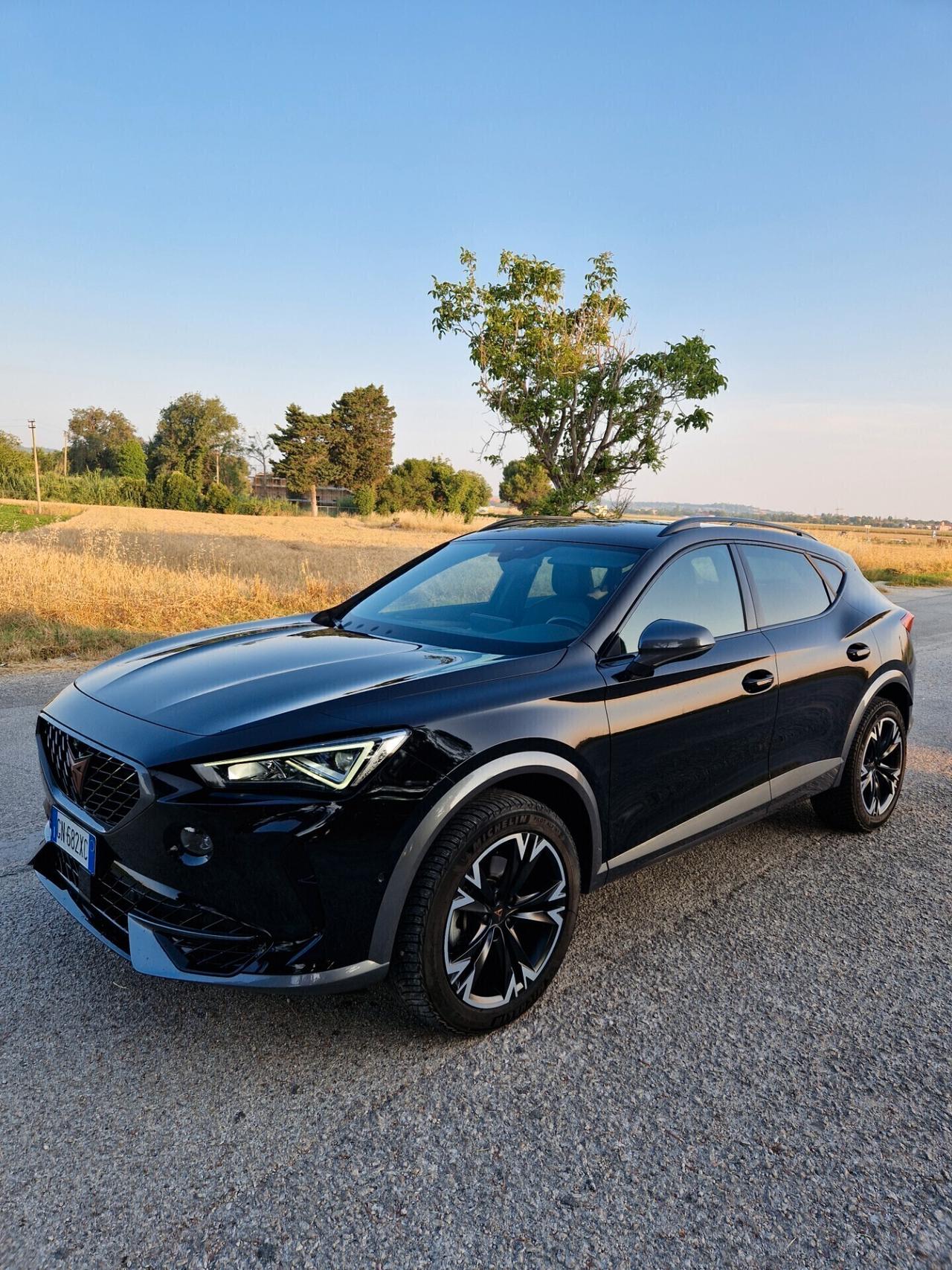 Cupra Formentor 2.0 TDI 4Drive DSG 4x4