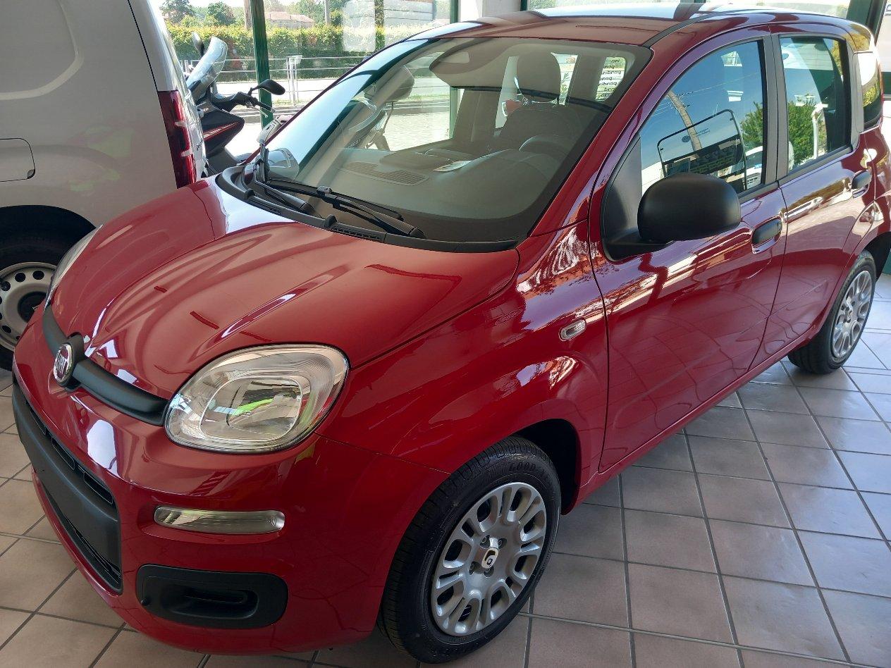 FIAT Panda 1.0 FireFly S&S Hybrid x Neopatenteti