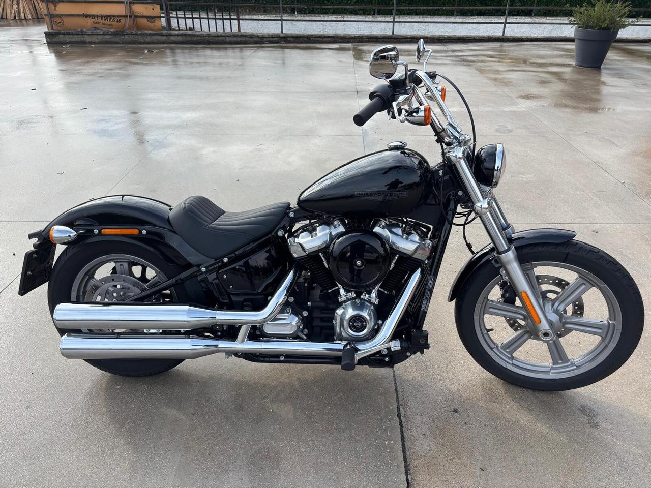 Harley-davidson Softail Standard - 2022