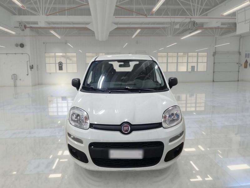 FIAT PANDA 1.2 69 CV SES E6D-TEMP EASY 5 PORTE BERLINA