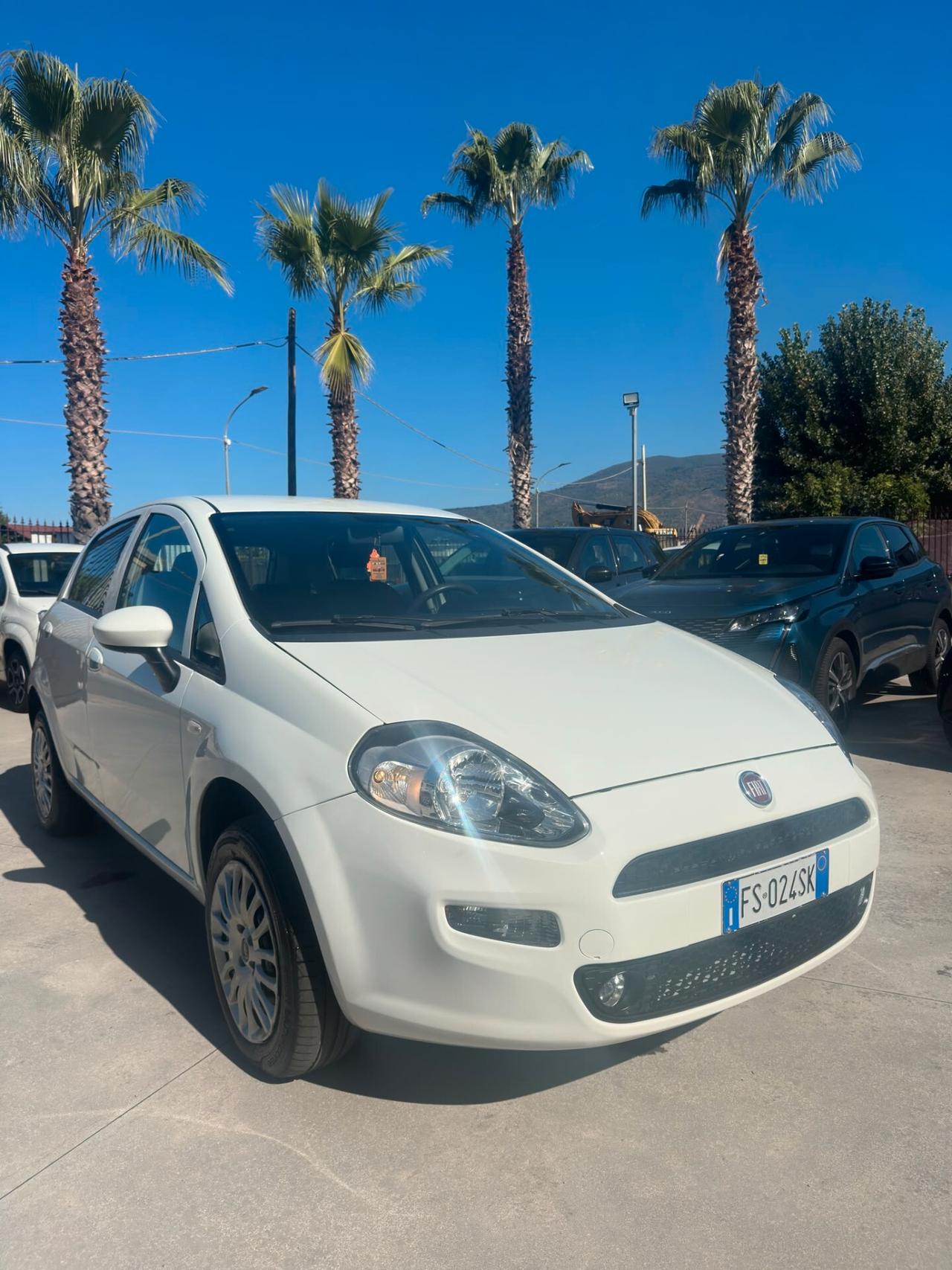 Fiat Punto 1.4 8V 5 porte Natural Power Street