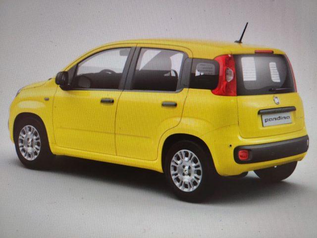 FIAT Panda 1.0 FireFly S&S Hybrid Pop km0