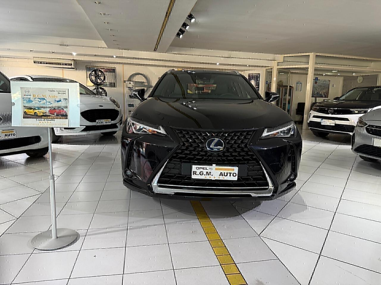 Lexus UX UX Hybrid Executive