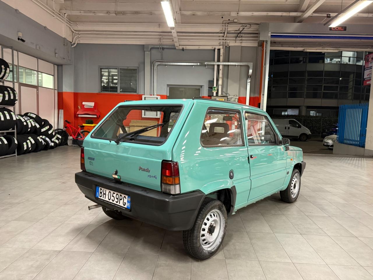 Fiat Panda 900 i.e. cat Young