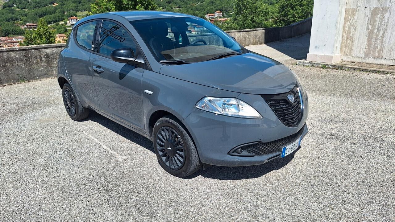 Lancia Ypsilon 0.9 TwinAir 85 CV 5 porte Metano Ecochic Elefantino
