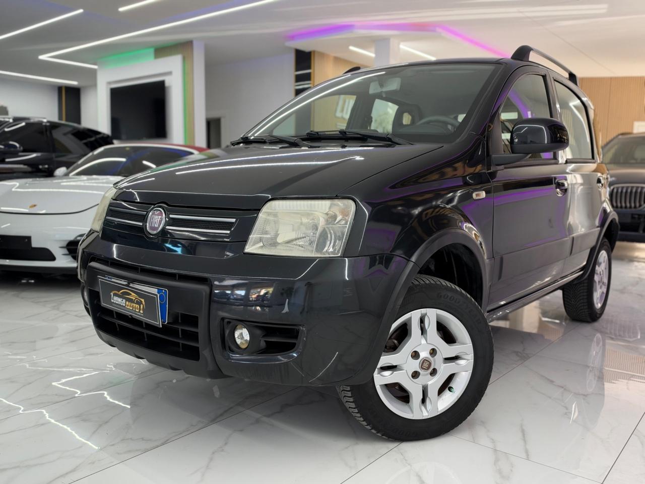 Fiat Panda 1.3 MJT 75Cv 4x4 Climbing