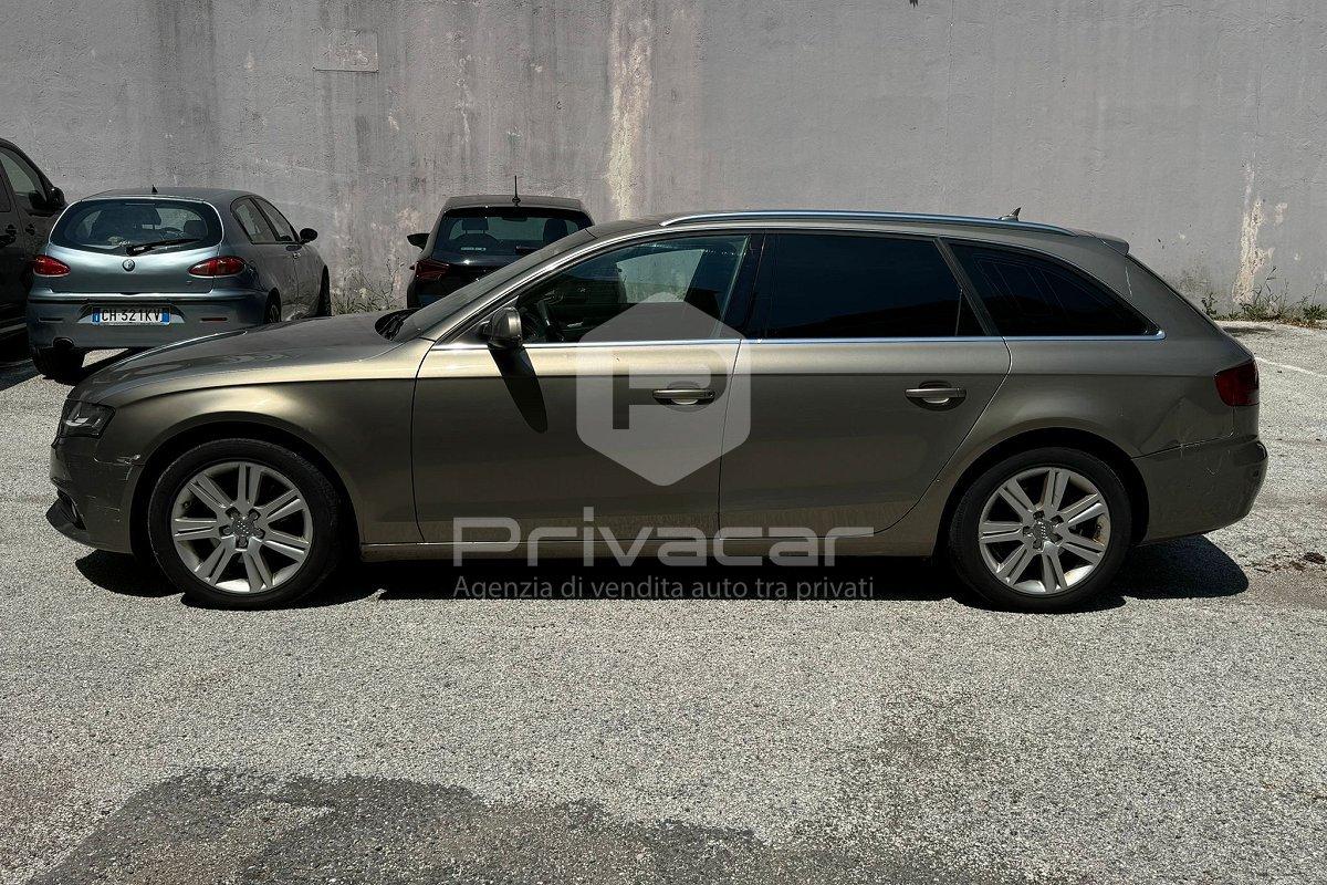AUDI A4 Avant 2.0 TDI 170CV F.AP. Ambiente