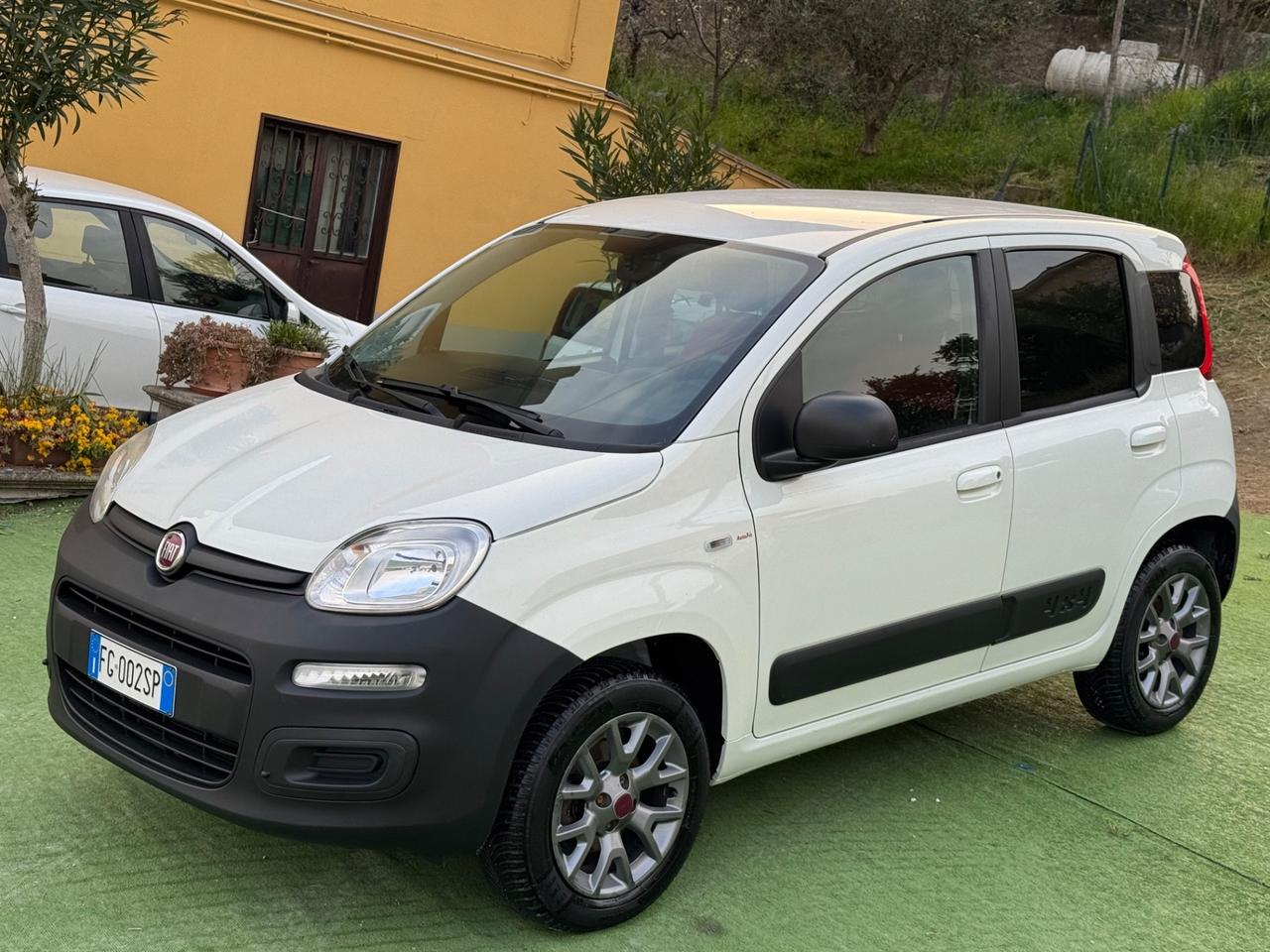 Fiat Panda 1.3 MJT 4x4 Van 2 posti