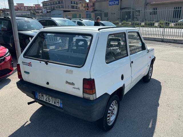 FIAT Panda 1ª serie 900 i.e. cat Young