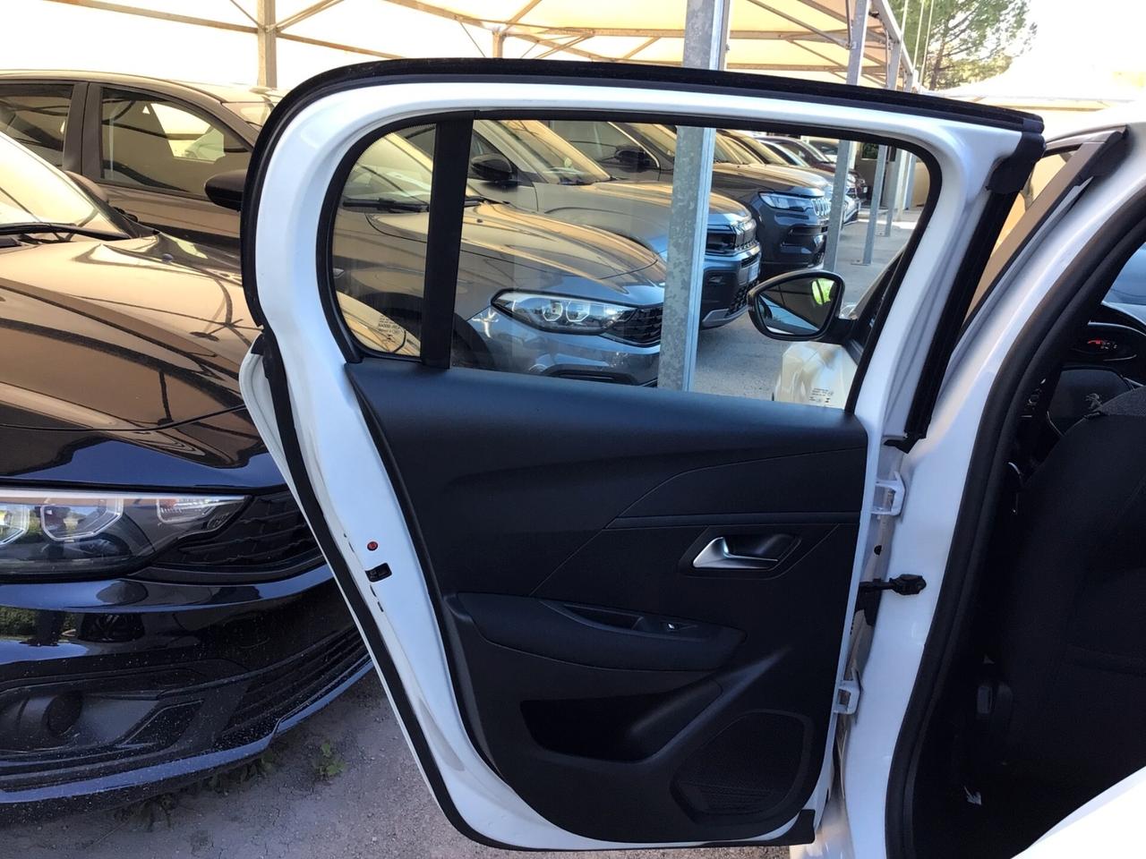 Peugeot 208 BlueHDi 100 Cv 5 porte Active