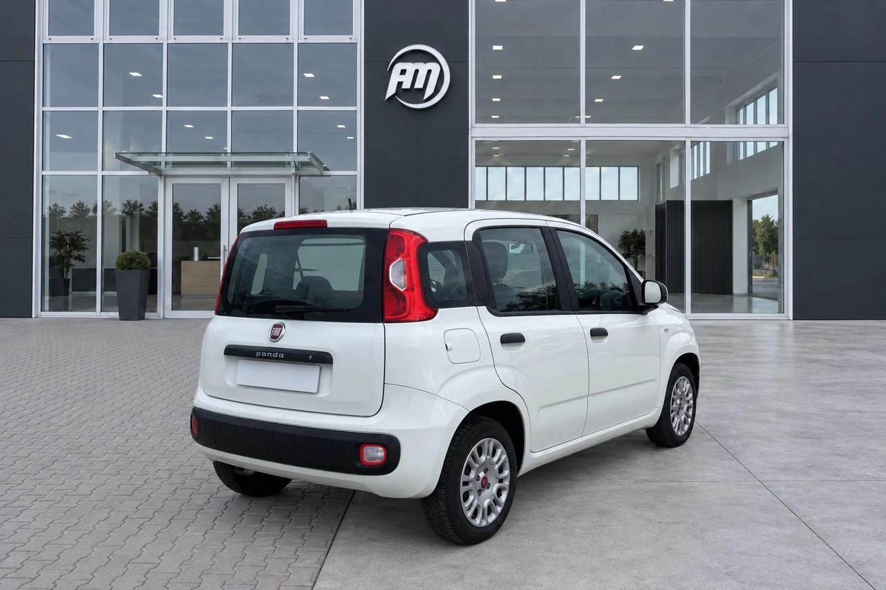 Fiat Panda 1.3Mjt Autocarro N1