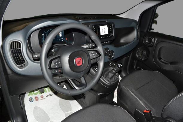 FIAT PANDA - PANDA 1.0 70CV HYBRID ICON