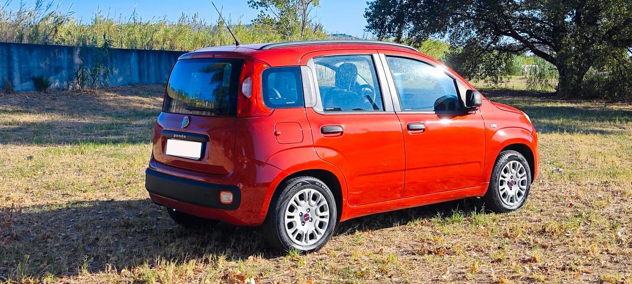 Fiat Panda 1.2 Lounge
