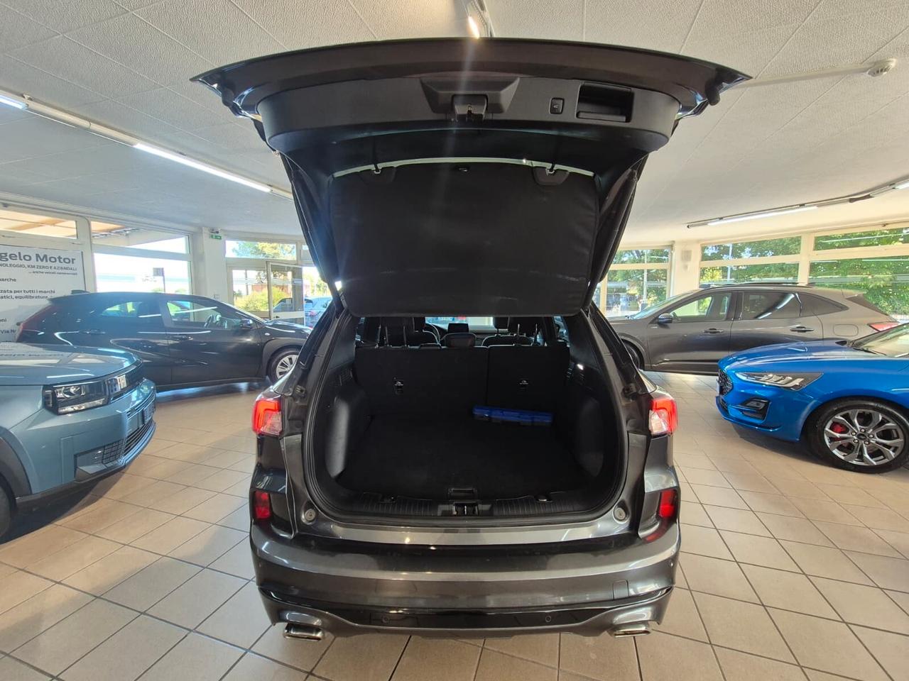 Ford Kuga 1.5 EcoBlue 120 CV 2WD ST-Line