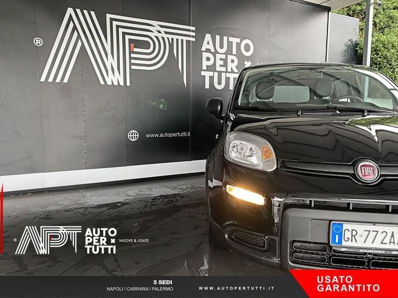 FIAT Panda Panda 1.0 firefly hybrid City Life s&s 70cv