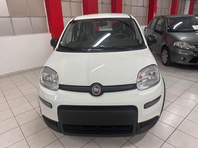 FIAT New Panda NESSUN FINANZIAMENTO !!!