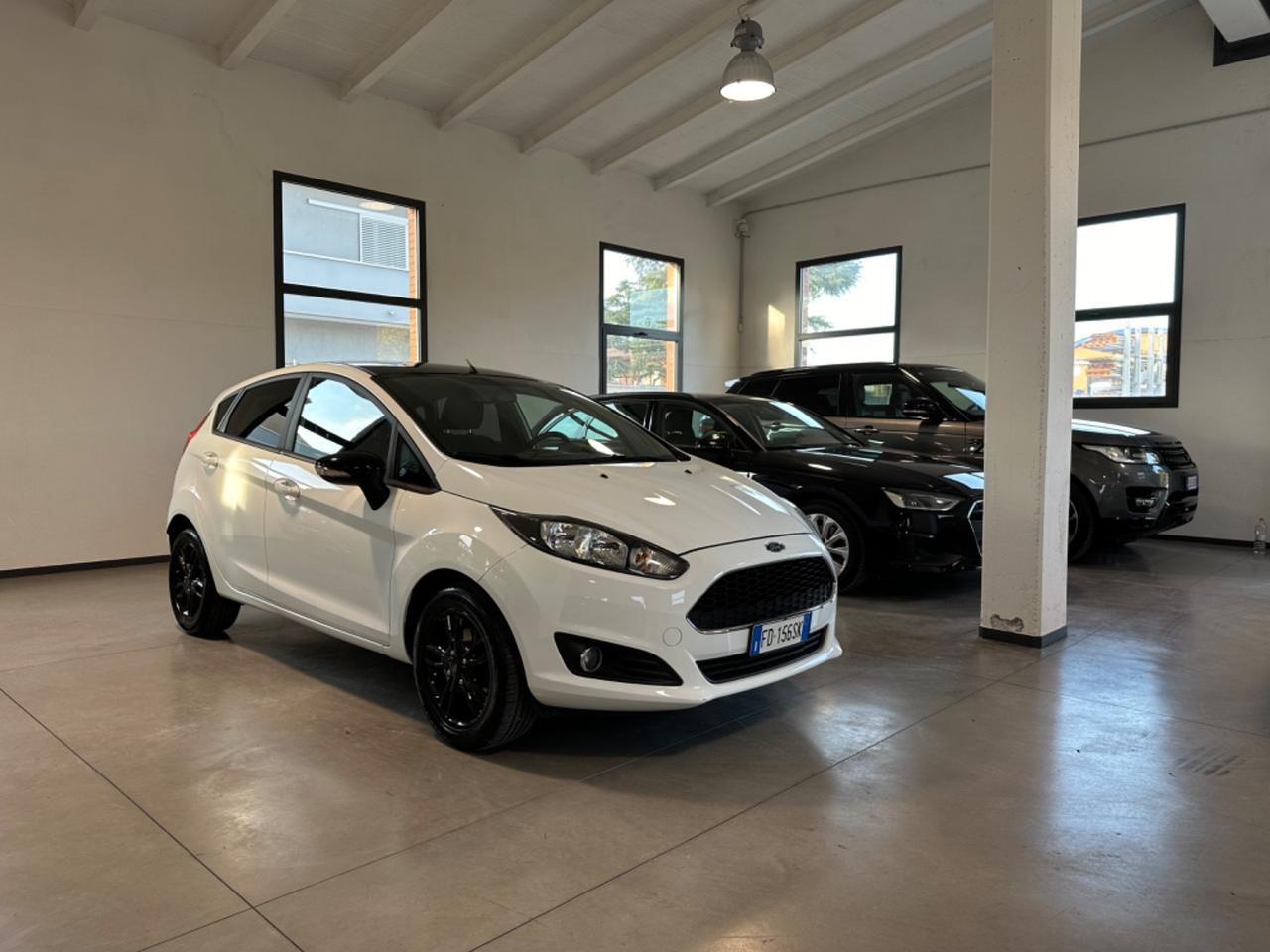 Ford Fiesta 1.4 5 porte Bz.- GPL Black & White Edition