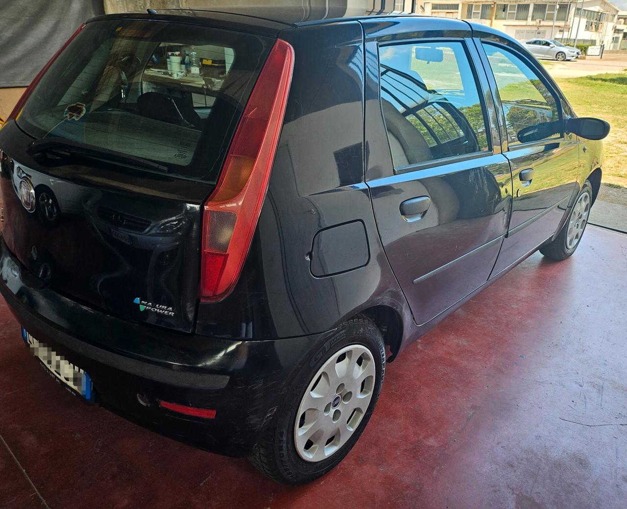 Fiat Punto Classic 1.2 5 porte Natural Power Active