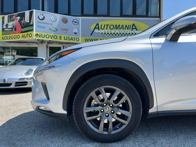 LEXUS NX 300 Hybrid Business