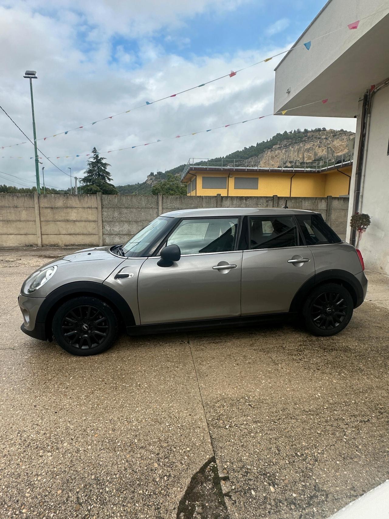 Mini 1.5 One D Hype