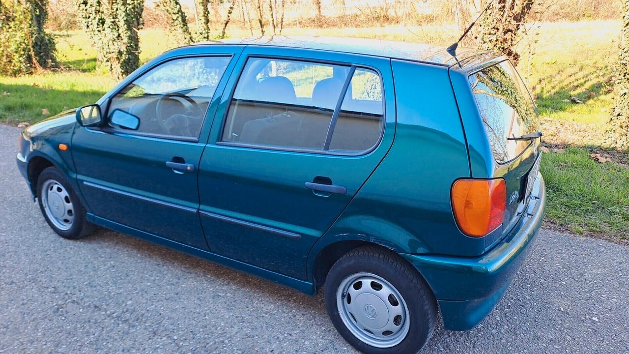 Volkswagen Polo 1.4 cat 5 porte Comfort