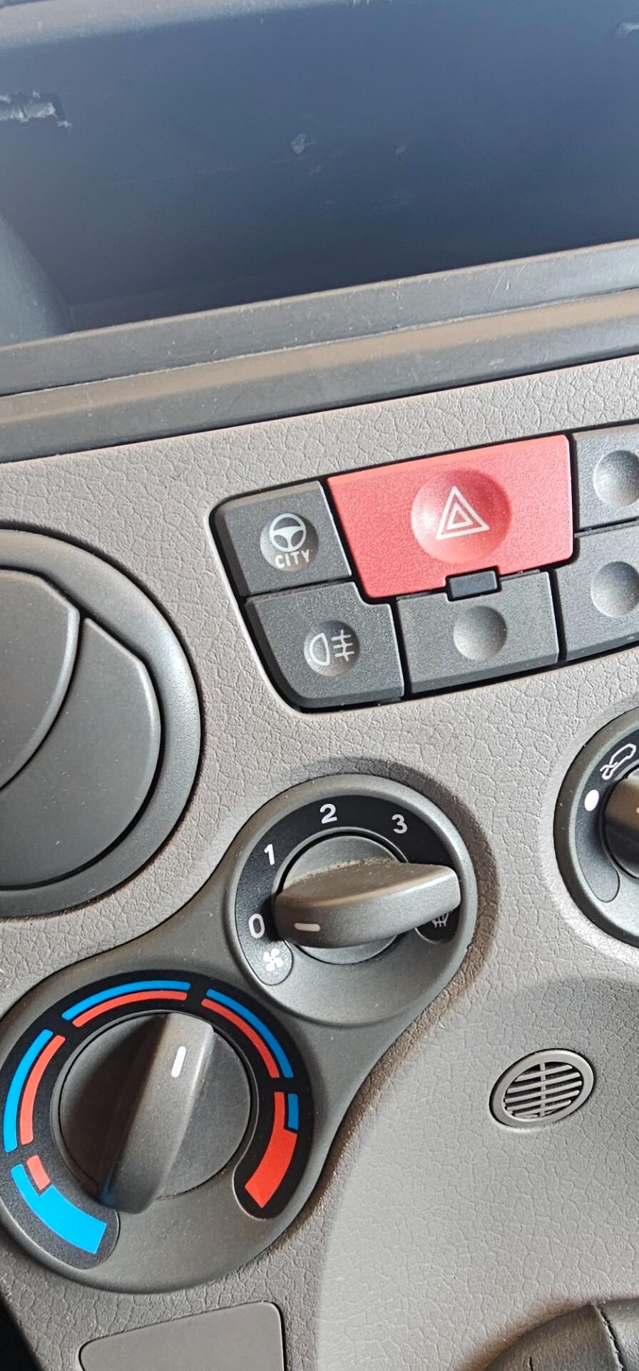 Fiat Panda 1.3 MJT Van Active 2 posti