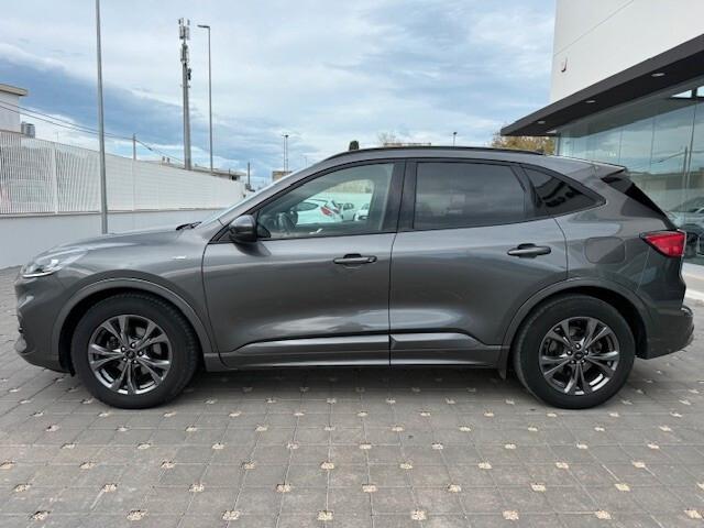 Ford Kuga 1.5 EcoBlue 120 CV 2WD ST-Line 2022