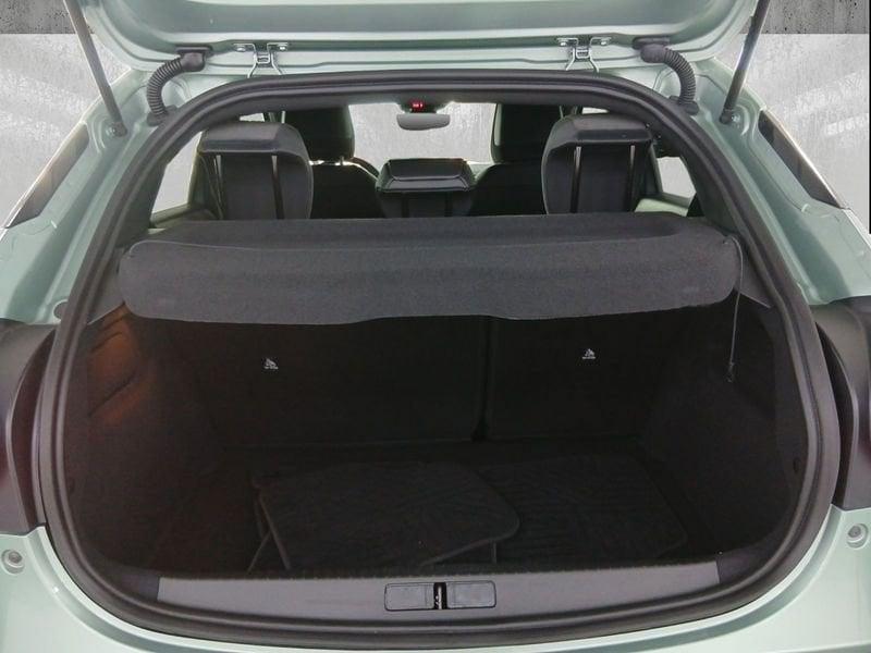 Lancia Ypsilon 1.2 mhev LX 110cv e-dct