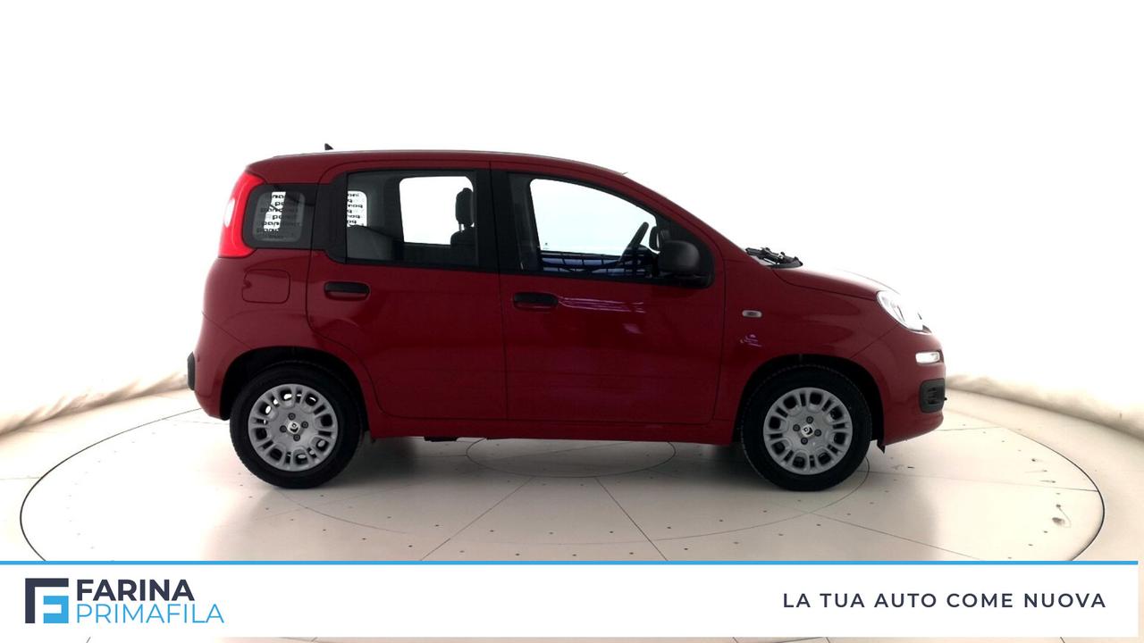 FIAT Panda III 2021 - Panda 1.0 firefly hybrid Pop s&s 70cv