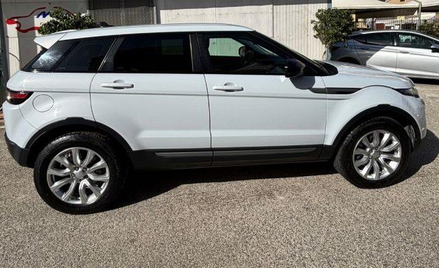 LAND ROVER Range Rover Evoque 2.0 TD4 150 CV 5p. Business Edition