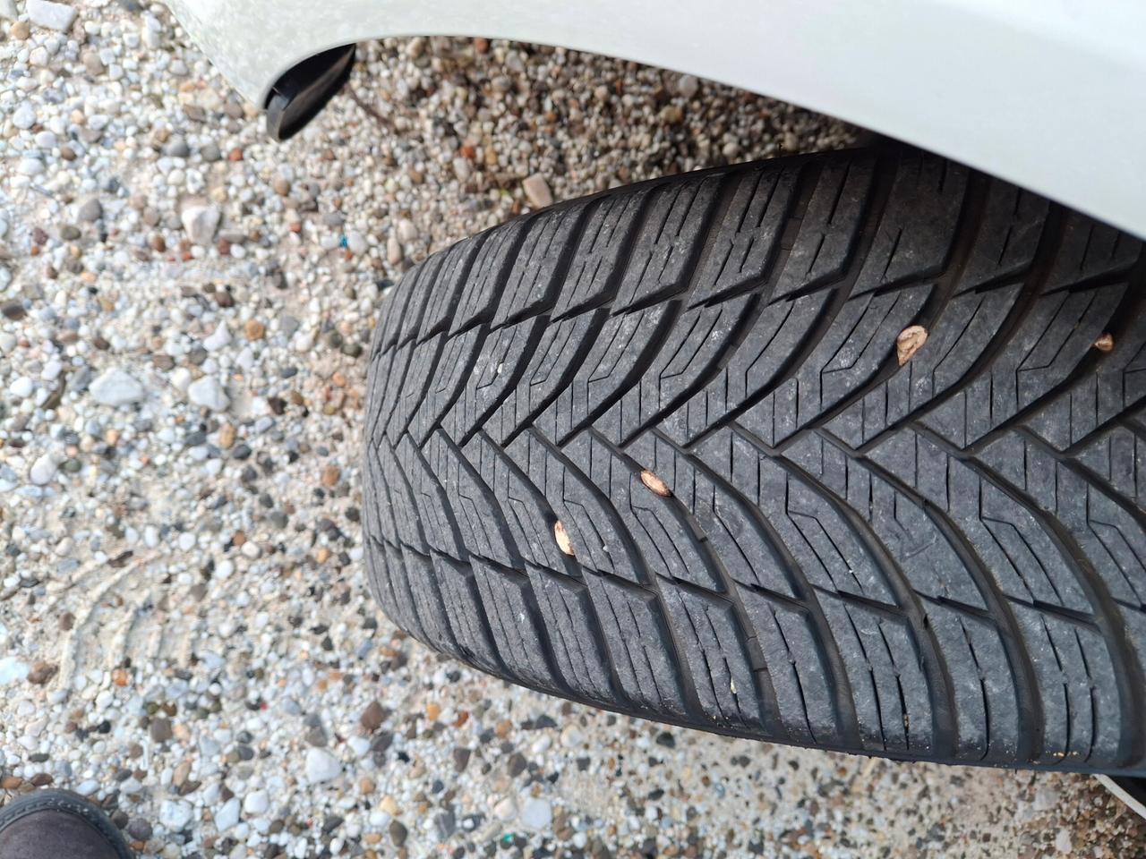 Ford Fiesta 1.5 TDCi 75CV 3 porte Black & White Edition